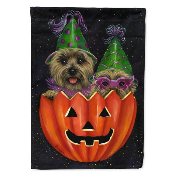 Carolines Treasures PPP3056CHF Cairn Terrier Halloween PeekaBoo Flag Canvas House Size  Large multicolor
