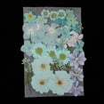 thumbnail image 2 of Juego de hojas de flores prensadas secas reales mezcladas múltiples para adornos de maquillaje. Azul claro, 2 of 9