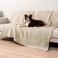 thumbnail image 4 of PetAmi Fluffy Waterproof Dog Blanket for Bed Large Dogs, Soft Warm Pet Sherpa Throw Pee Proof Couch Cover, Reversible Cat Blanket Sofa Crate Kennel Protector, Washable Mat Queen (Beige Cream, 90x90), 4 of 9