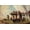 Unframed, variant on Art.com Napoleon Bonaparte on the Borodino Hights Giclee Print by Vasili Vasilyevich Vereshchagin, 18" x 12"