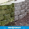 thumbnail image 2 of Quitamanchas Wet & Forget Moss, moho y algas, 3,8 L, 2 of 3