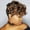 F1B/30 VG87M#, variant on Short Pixie Wigs for Black Women Pixie Cut Wigs with Bangs Short Curly Wig for Black Women Synthetic Hair Black and Blonde Wigs for Women Quick Get Up and Go Wigs 1B/30 Color
