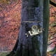 thumbnail image 3 of Herramienta para pelar , cortador pelador de árboles frutales, ergonómico, tijeras para árboles frutales de jardín, herramienta de poda, 3 of 9
