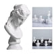 thumbnail image 2 of Busto de cabeza griega de resina clásica de 18 pulgadas, escultura, figura para decoración artística. Arias, 2 of 8