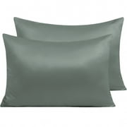 NTBAY Silky Satin Queen Pillowcases with Zipper Closure, Set of 2, 20" x 30", Dark Grey