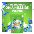 thumbnail image 4 of Gain Flings Blissful Breeze, 14 Ct. Laundry Detergent Pacs, 4 of 9