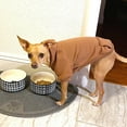 thumbnail image 5 of Winter Dog Hoodie Sweatshirts with Pockets Warm Dog Clothes for Small Dogs Chihuahua Coat Clothing Puppy Cat Custume (Small, Coffee), 5 of 9