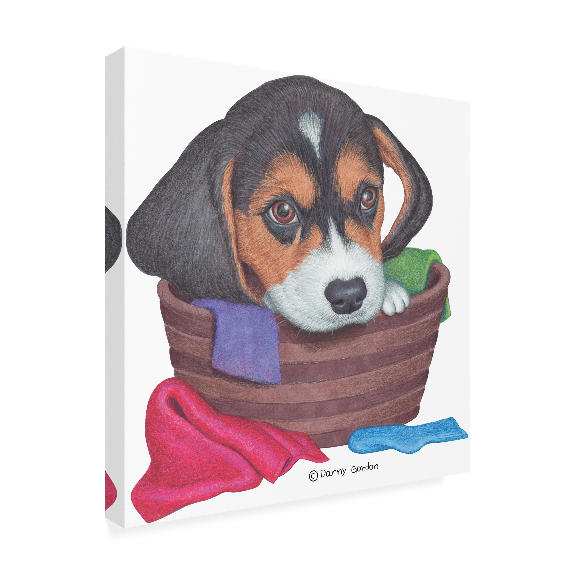 Danny Gordon Art 'Tri Color Beagle in Basket' Canvas Art