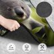 thumbnail image 3 of Fotbe Daisy Koala Juego de 4 Tapetes para Auto con Estampado – Alfombrillas de Goma Reforzada, Diseño Antideslizante, Protección para Todo el Año – Vehículos, Autos, Camionetas y SUVs, 3 of 7