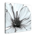 thumbnail image 2 of Creative Products Grey and White Flower 36x36 Canvas Wall Art, 2 of 5
