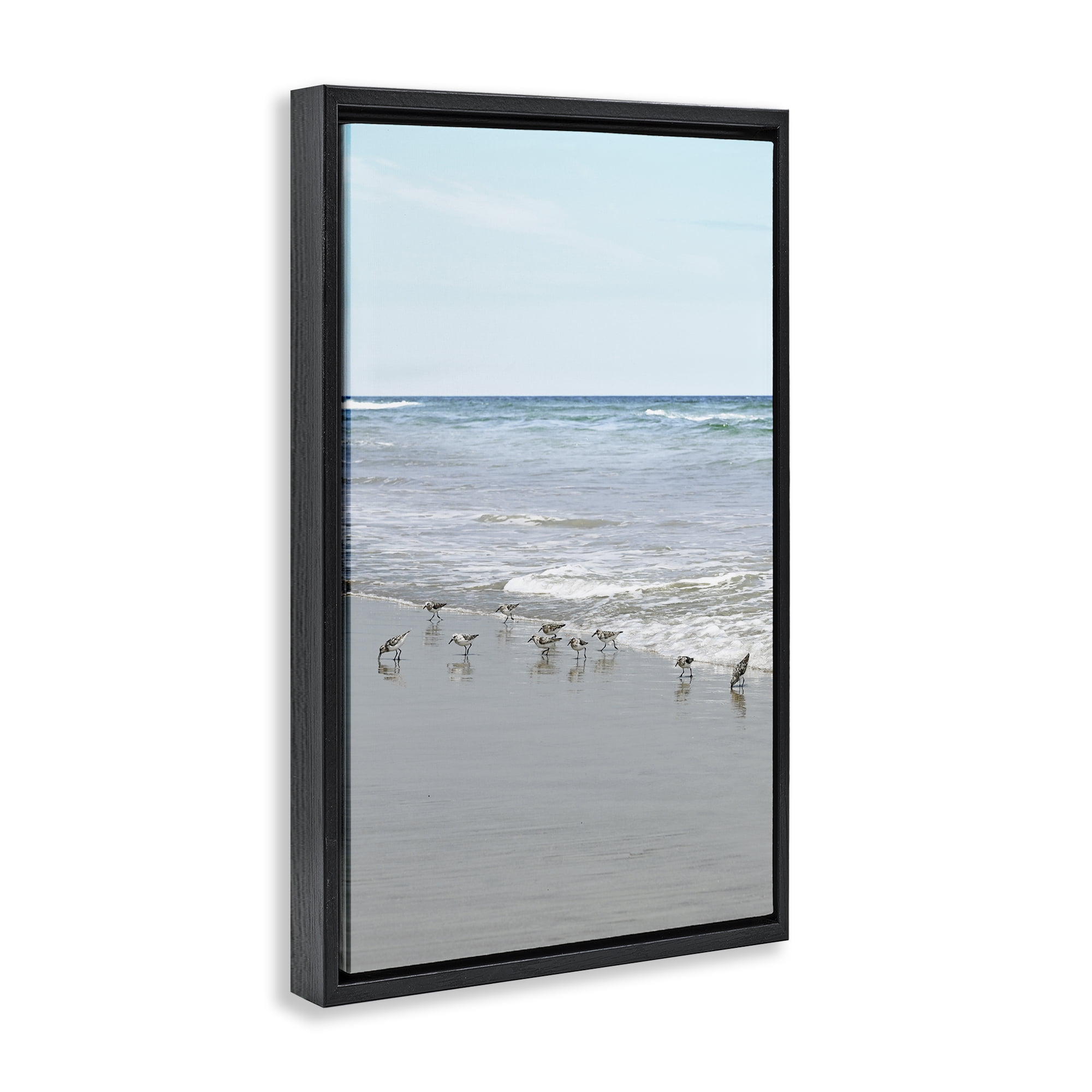 Stupell Industries Energetic Beach Birds Nautical & Beach Photography Black Floater Framed Canvas Art Print Wall Art, 17 x 25