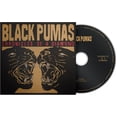 thumbnail image 2 of Black Pumas - Chronicles Of A Diamond - Music & Performance - CD, 2 of 2