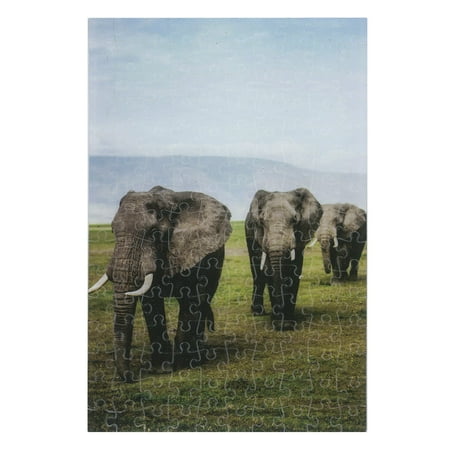 Three Elephants price history on PriceWatchPro