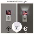 thumbnail image 3 of Balery Colorful Floral Flamingo Luz Nocturna LED con Sensor Automático, Enchufe con Sensor Crepuscular, Luz Suave de 0.5W para Dormitorio, Pasillo, Baño-US, 3 of 7