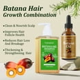 thumbnail image 2 of Gypsophila Batana Oil Shampoo and Hair Oil Lightweight Hair -Natural Hair Treatment for Women & Unisex Healthier Hair, 2 of 7