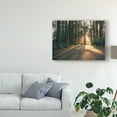 thumbnail image 3 of Trademark Fine Art 'Pacific Northwest Oregon III' Canvas Art by Adam Mead, 3 of 4