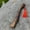 D, variant on Kezqiaxn Home Supplies Wooden Axe Handle Spare Axe Handle Red Rope Luck Axe Handle Brown