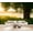 Color 1, variant on Wallpaper Watercolor Pine Forest Misty Mountain Landscape Soft Green Peel and Stick Wall Murals 69"H x 96"W Removable PVC Wall Paper Self-Adhesive Wall Paintings Art Decor for Bedroom Living Room