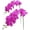 Rose Red, variant on 2pcs Artificial Orchid Stems Flowers Real Touch Faux Phalaenopsis Branches 8 Large Blooms, 29 Inches