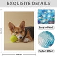thumbnail image 3 of Diamond Art Kits for Adults - 5d Corgi With Tennis Ball Diamond Painting for Adults, Diamond Art for Adults Beginners, Diamond Painting Kits for Adults for Home Wall Decor, 3 of 7
