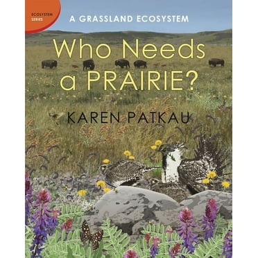 Ecosystem: Who Needs a Prairie? : A Grassland Ecosystem (Hardcover)
