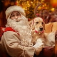 thumbnail image 2 of Dog Antler Headband Christmas Dogs Costume for Medium Large Dogs, Dog Ears Ajustable Elastic Band Dogs Costume for Christmas Party Decor,A, 2 of 7