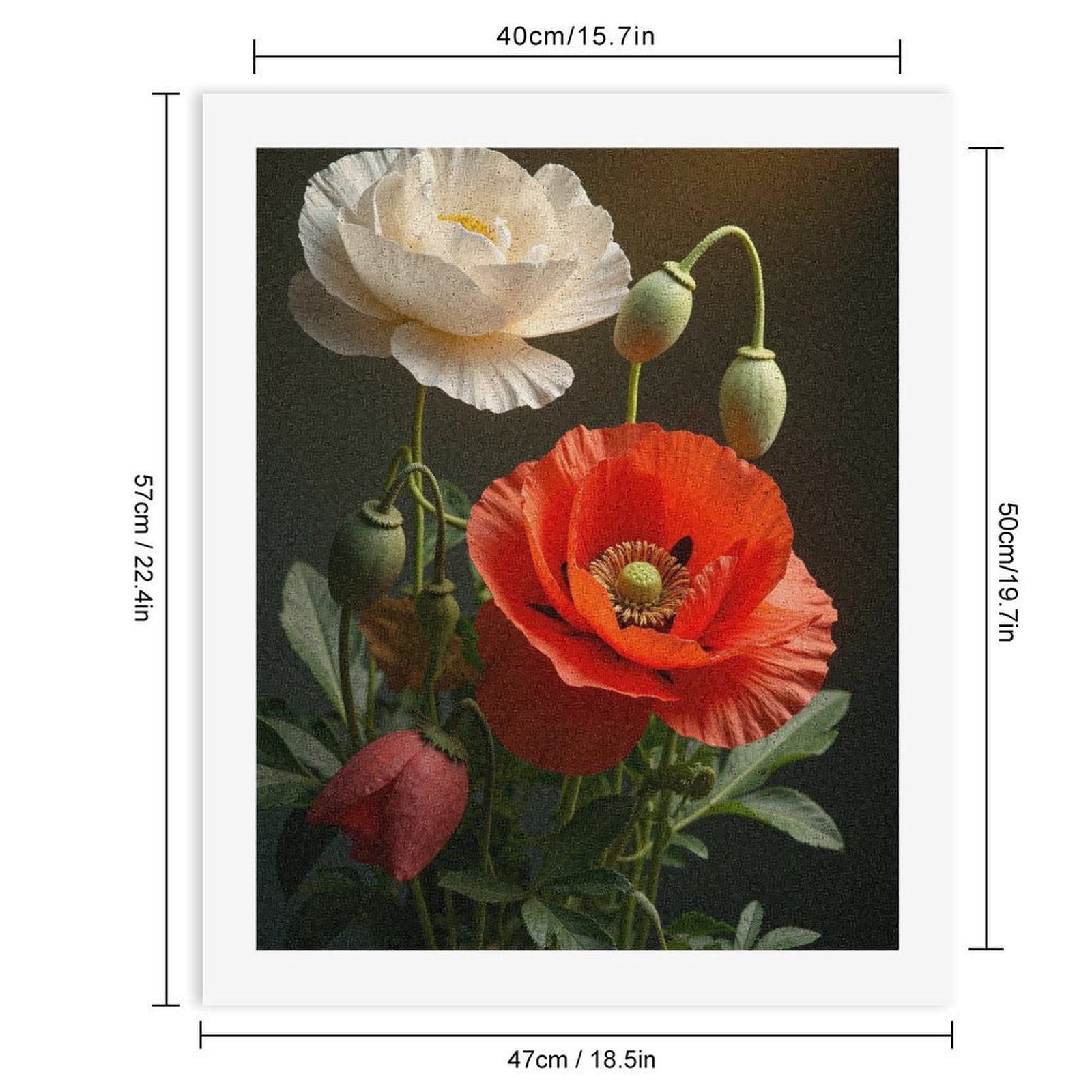 Paint by Numbers Kit for Adults, Red White Poppies Green Buds Paint by Numbers, Easy Paint by Numbers Kit for Adults Beginner, DIY Adult Paint by Number Kits on Canvas, Home Decor