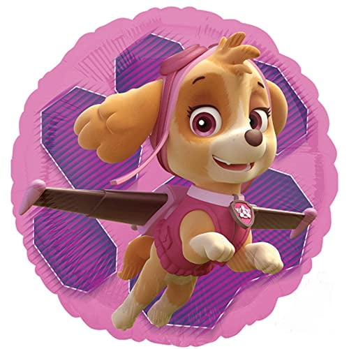 Skye and Everest 2nd Birthday Party Supplies Girl Paw Pups on Patrol Balloon Bouquet Decorations 12ct