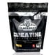 thumbnail image 1 of Creatina Monohidratada 750gr Mango 150 serv Blackbear The Blackbear BLACKBCREATINAMANGO750G, 1 of 6