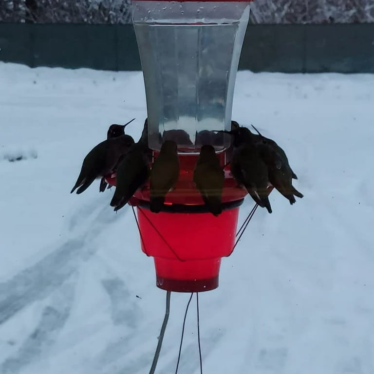 Hummingbird Feeder Heater, Heated Feeders for Outdoors,Bird Heater Attaches  to Bottom Feed Hummingbirds in Freezing Weather Winter Outdoor