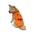 thumbnail image 1 of Disfraz de perro ComfyCamper con capa de calabaza para Halloween, tamaño grande, 1 of 4