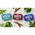 thumbnail image 4 of Big Sky Sugar Free Cinnamon Mint Candy, 50g Tin - 6 Count Display Tray, 4 of 4