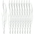 thumbnail image 1 of SHISUYAN 10Pcs Curved Tree Branches Tree Branches for Vase Indoor Vase Insert Branch Decors, 1 of 7