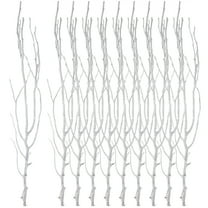 20 Pcs 50 Cm Dried Twigs House Plants Twigs for Crafts White Vases Twigs and Branches for Vases