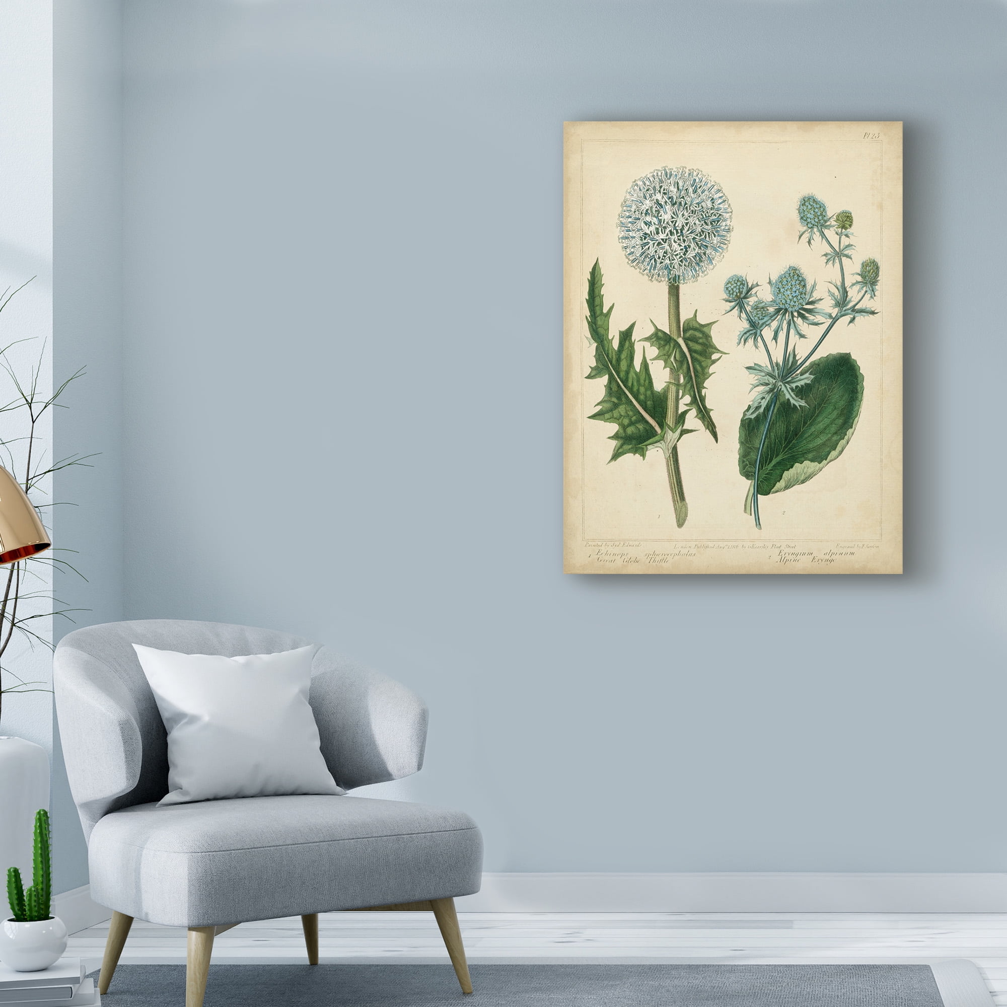 Trademark Fine Art 'Cottage Florals III' Canvas Art by Sydenham Edwards