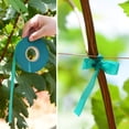 thumbnail image 7 of Garden Plant Ties Tape,Garden Tie Tape,Bexikou 2 Rolls Stretch Tie Tape,Plant Ribbon Garden Green Stake for Indoor Outdoor Patio Plant Use, 1 inch Wide by 150 feet Long, 7 of 7