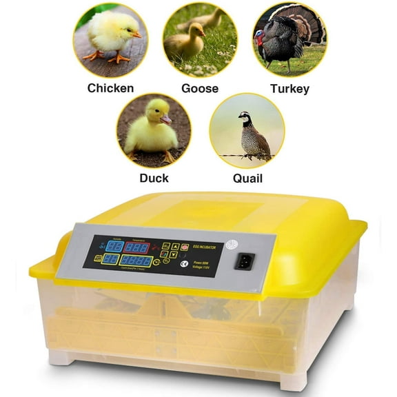 TECHTONGDA 48 Eggs Fully Automatic Egg Turning Egg Incubator Poultry Hatcher PID Intelligent Control System
