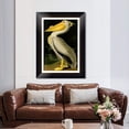 thumbnail image 2 of INVIN ART Framed Canvas Art Giclee Print American White Pelican by John James Audubon Wall Art Living Room Home Office Decorations(Black Frame with Mat and Glass,24"x32"), 2 of 4