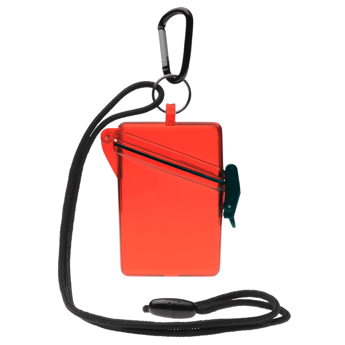 Witz See-It Safe Dry Case