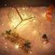 thumbnail image 3 of Cadena de luces LED flexibles Bincy para interiores de 1 m que funcionan con pilas, 3 of 8