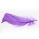 thumbnail image 3 of Paquete de 200 plumas de manualidades Strade Fareast Limited Color morado 4 piezas, 3 of 8