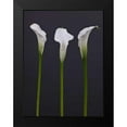 thumbnail image 2 of Frank, Assaf 15x18 Black Modern Framed Museum Art Print Titled - Three Calla Lily flowers, 2 of 5