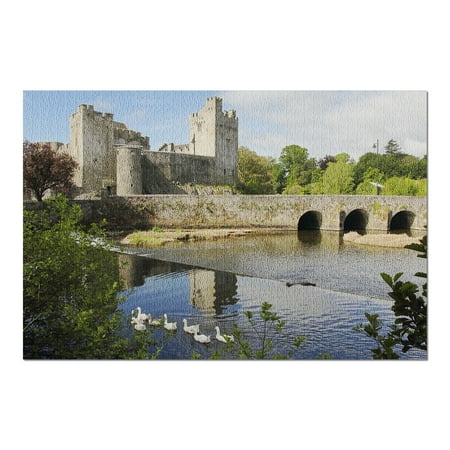 Historic Irish Castle of Cahir 9019469 (20x30 Premium 1000 Piece Jigsaw Puzzle, Made in (Best Irish Castles To Visit)