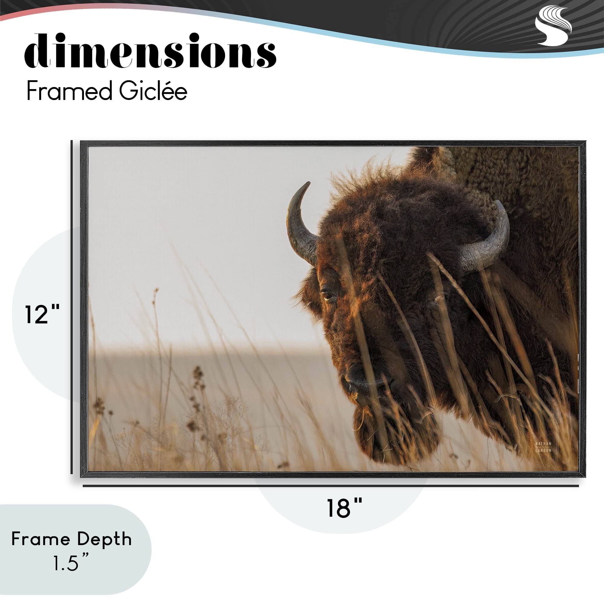 Stupell Industries Bison Sunset on Golden Prairie Black Framed Giclee Art, design by Nathan Larson