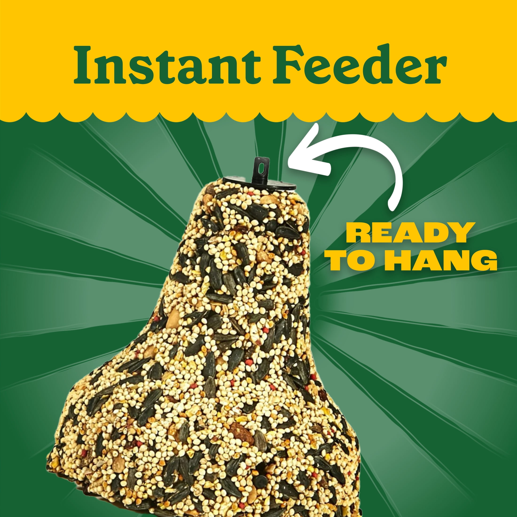 (2 pack) Pennington Nut and Fruit Treat Bell Wild Bird Food and Seed 15 oz Dry 1 Pack