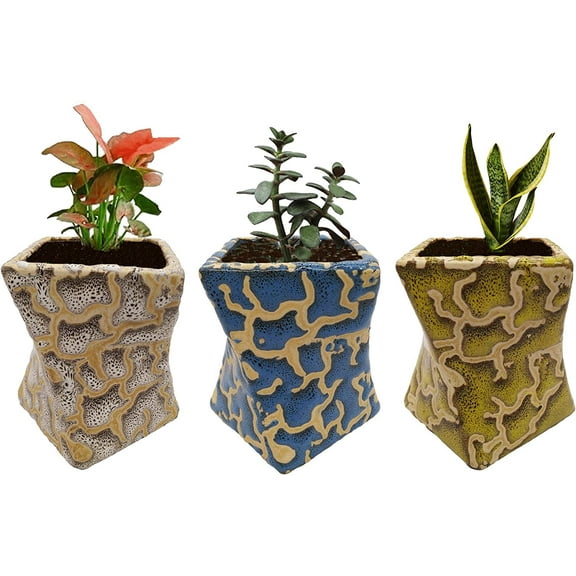 India Meets India Ceramic Flower Pot Planter Pot Indoor Outdoor Planter Handicraft by Awarded Indian Artisan (Yellow, Cream & Blue, Set of 3)
