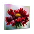 thumbnail image 2 of "Flame" By Mandy Disher, Fine Art Giclee Print on Gallery Wrap Canvas, Ready to Hang, 2 of 2