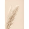 thumbnail image 2 of 1x Studio III 23x32 Gold Ornate Wood Framed with Double Matting Museum Art Print Titled - Pampas Grass Beige 07, 2 of 4