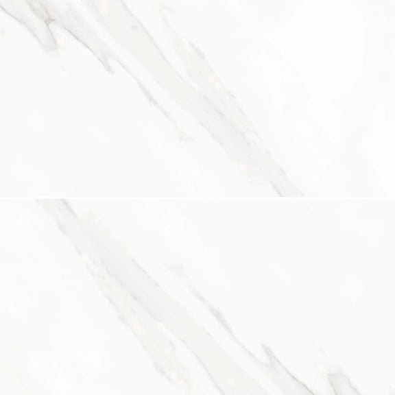 The Tile Life Delaney Blanco Polished Porcelain Floor & Wall Tile 24x48 in 2-Piece