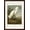 Brown Frame, variant on Art.com Pl 242 Snowy Heron Art Print by John James Audubon, 12" x 18"